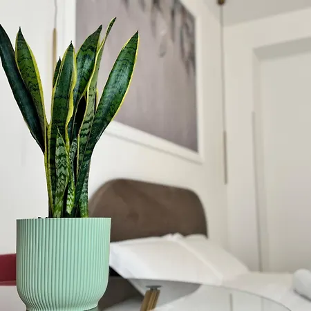 Siracusa Centro Bed & Breakfast *